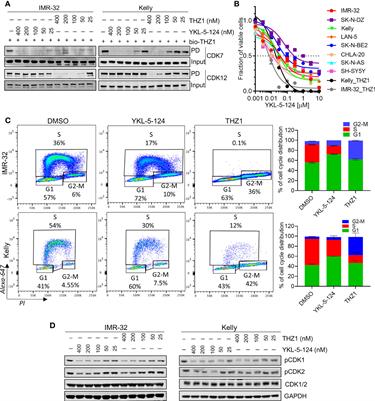 Synergistic Anti-Tumor Effect of Combining Selective CDK7 and BRD4 Inhibition in Neuroblastoma